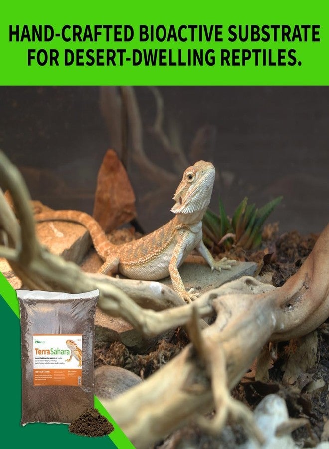 BIODUDE The Bio Dude Terra Sahara Bioactive Reptile Substrate 6 quarts for terrariums and vivariums. Great Bedding for Bearded Dragons, Uromasatyx, Leopard Geckos, Sand Boas and Desert Plants - Image 2